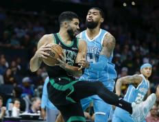 塔图姆官方公布新规，黄蜂引发争议，掀起高潮球迷热议！的简单介绍